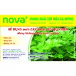 Nhang Thần xạ hương